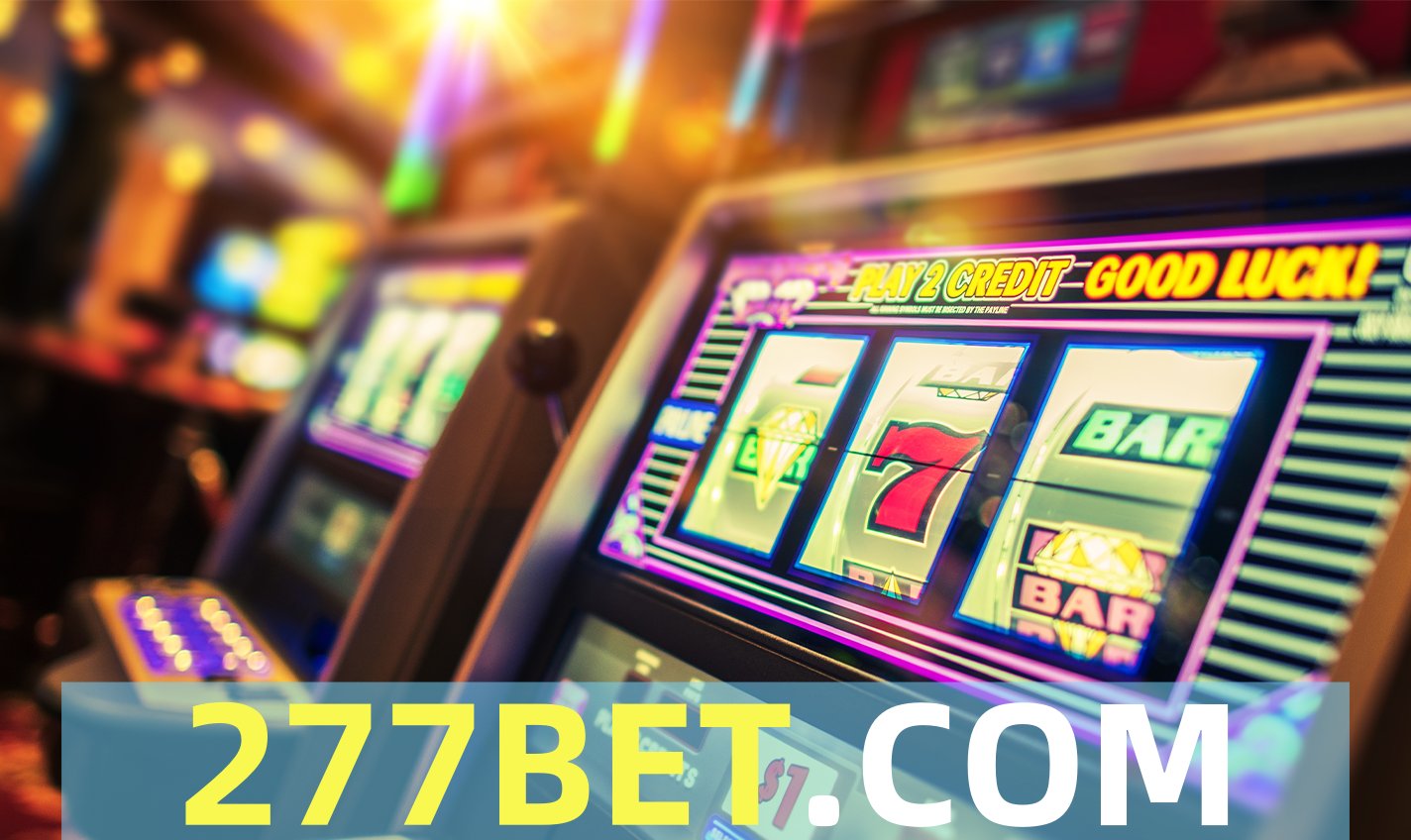 277bet
